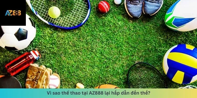 Thể Thao 1 Lý do hấp dẫn