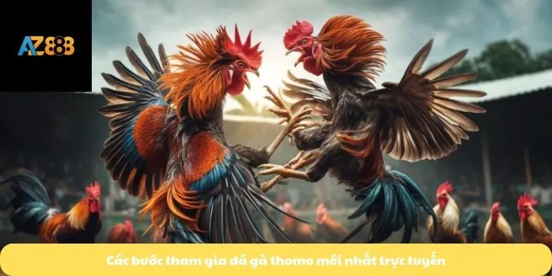 Các bước tham gia đá gà thomo mới nhất trực tuyến