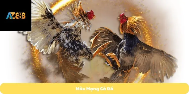 Màu mạng gà đá