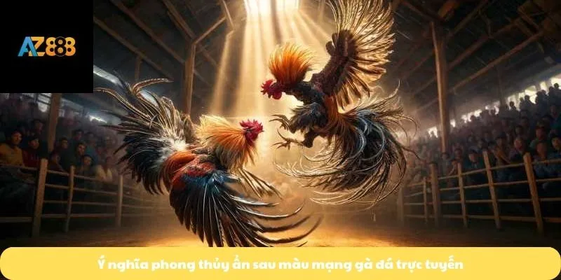 Ý nghĩa phong thủy ẩn sau màu mạng gà đá trực tuyến